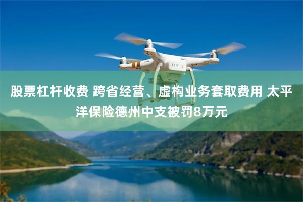 股票杠杆收费 跨省经营、虚构业务套取费用 太平洋保险德州中支被罚8万元