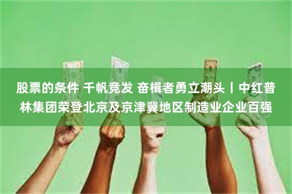 股票的条件 千帆竞发 奋楫者勇立潮头丨中红普林集团荣登北京及京津冀地区制造业企业百强