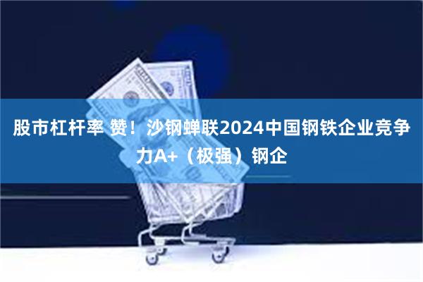 股市杠杆率 赞！沙钢蝉联2024中国钢铁企业竞争力A+（极强）钢企