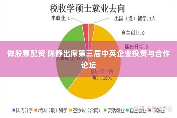 做股票配资 陈静出席第三届中英企业投资与合作论坛