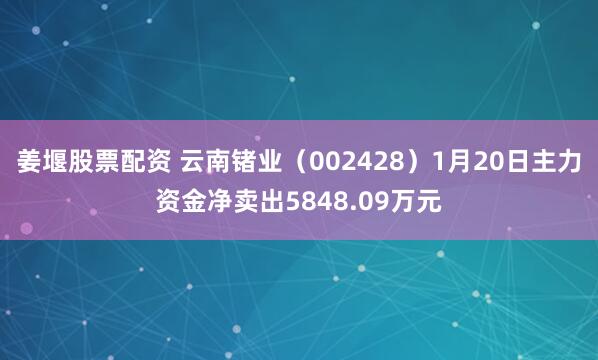 姜堰股票配资 云南锗业（002428）1月20日主力资金净卖出5848.09万元