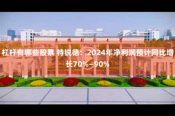 杠杆有哪些股票 特锐德：2024年净利润预计同比增长70%—90%