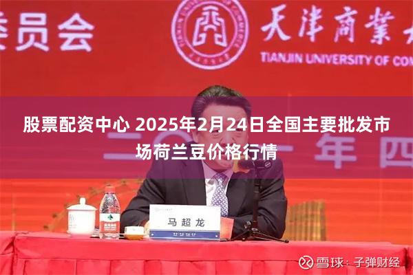 股票配资中心 2025年2月24日全国主要批发市场荷兰豆价格行情