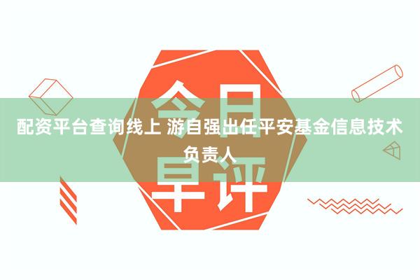 配资平台查询线上 游自强出任平安基金信息技术负责人