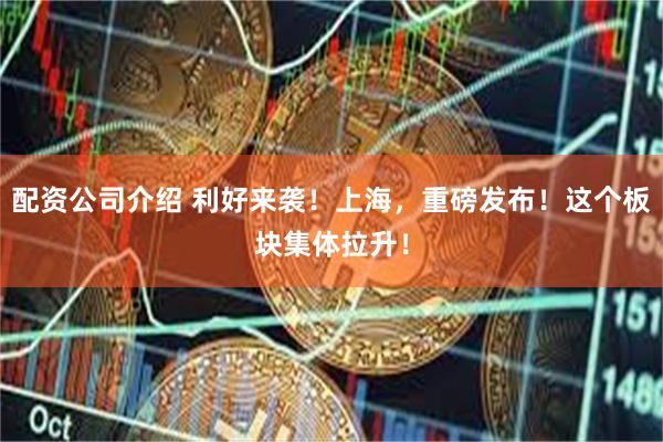 配资公司介绍 利好来袭！上海，重磅发布！这个板块集体拉升！